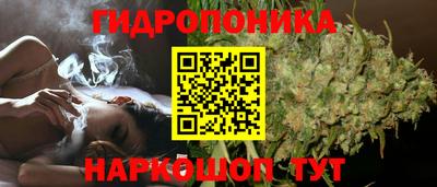 прущие грибы Гусиноозёрск