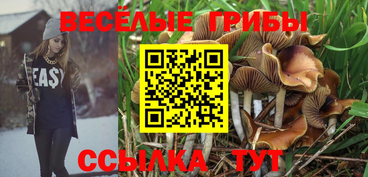 Мелеуз  Галлюциногенные грибы ЛСД  Вход с VPN 